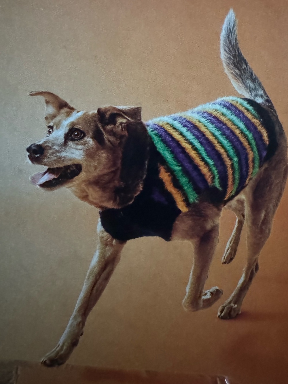 Boots & Barkley Striped Fuzzy Halloween Costume dog sweater size large
